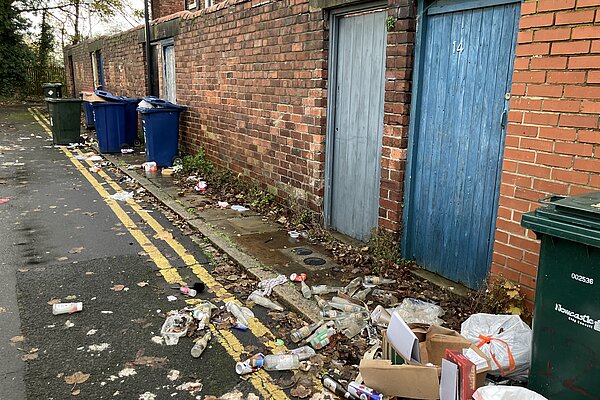 Back Lane with overflowing bins and litter