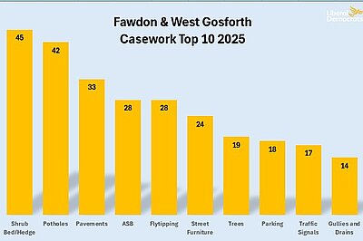 Bar chat showing Fawdon and West Gosforth top 10 case work request.