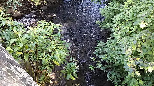 And Quiet flows the Ouseburn