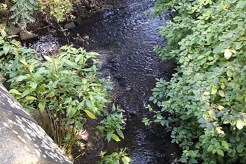 And Quiet flows the Ouseburn